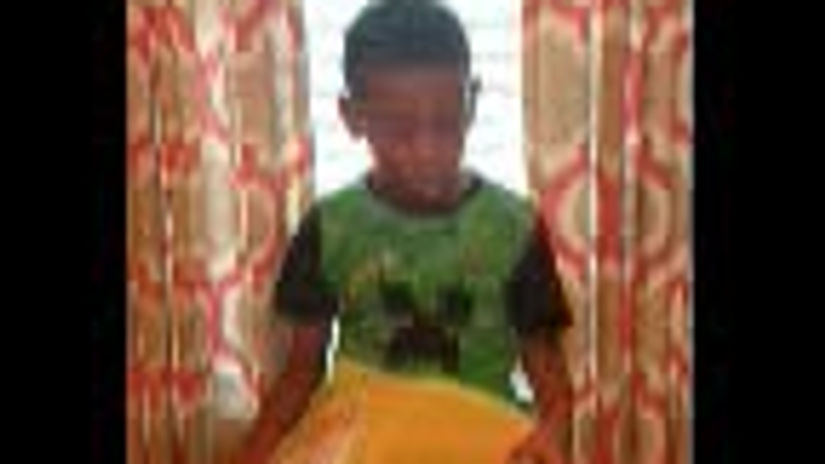 Young SJ Reads Bumblebees on the Run